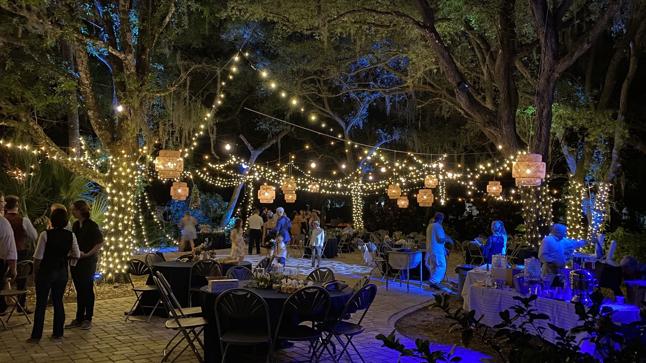 Photo of Others in Sarasota
