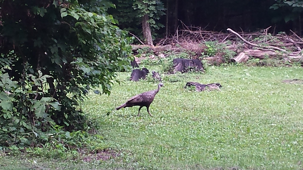 Photo of Others in Ellsworth