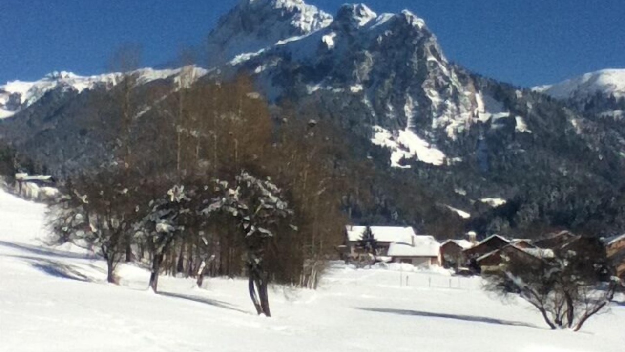 Photo of Others in Bernex