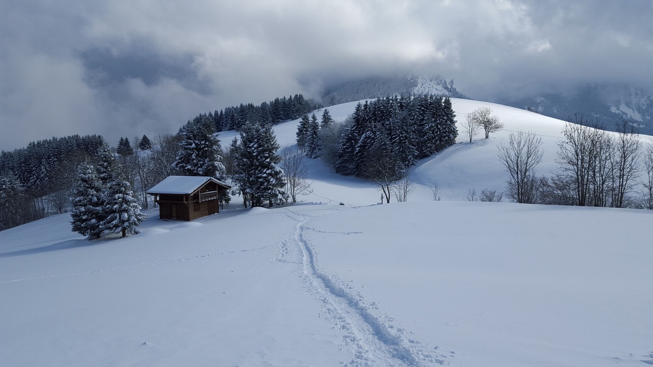 Photo of Outdoor in Bernex
