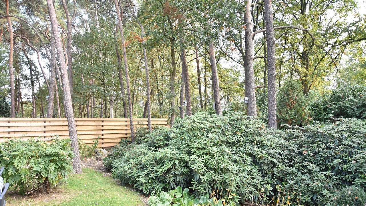 Photo of Outdoor in Reutum