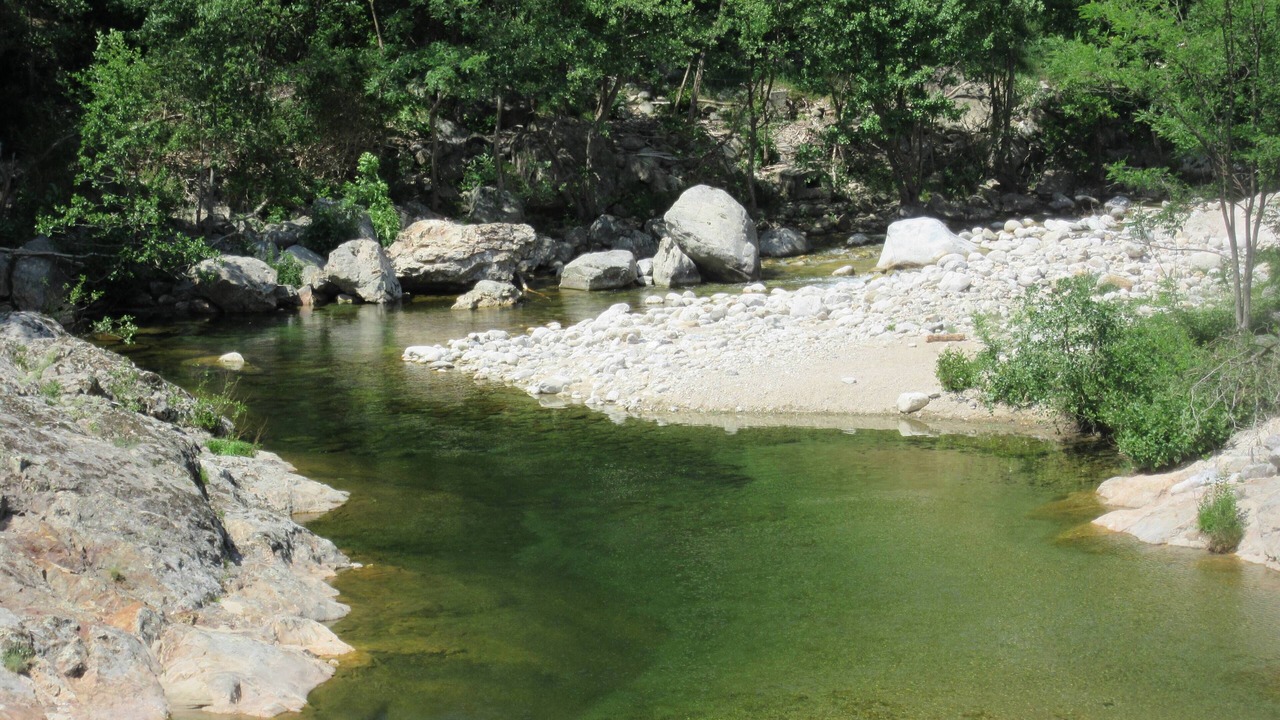 Photo of Others in Beaumont