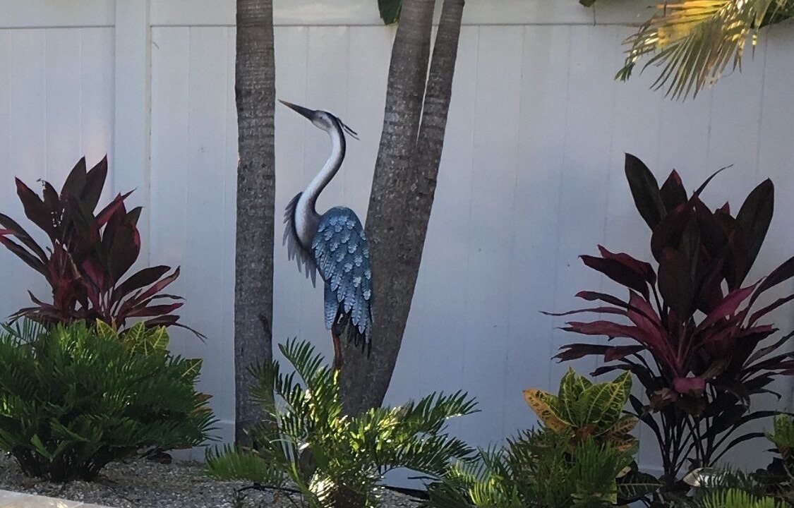 Photo of Others in Anna Maria
