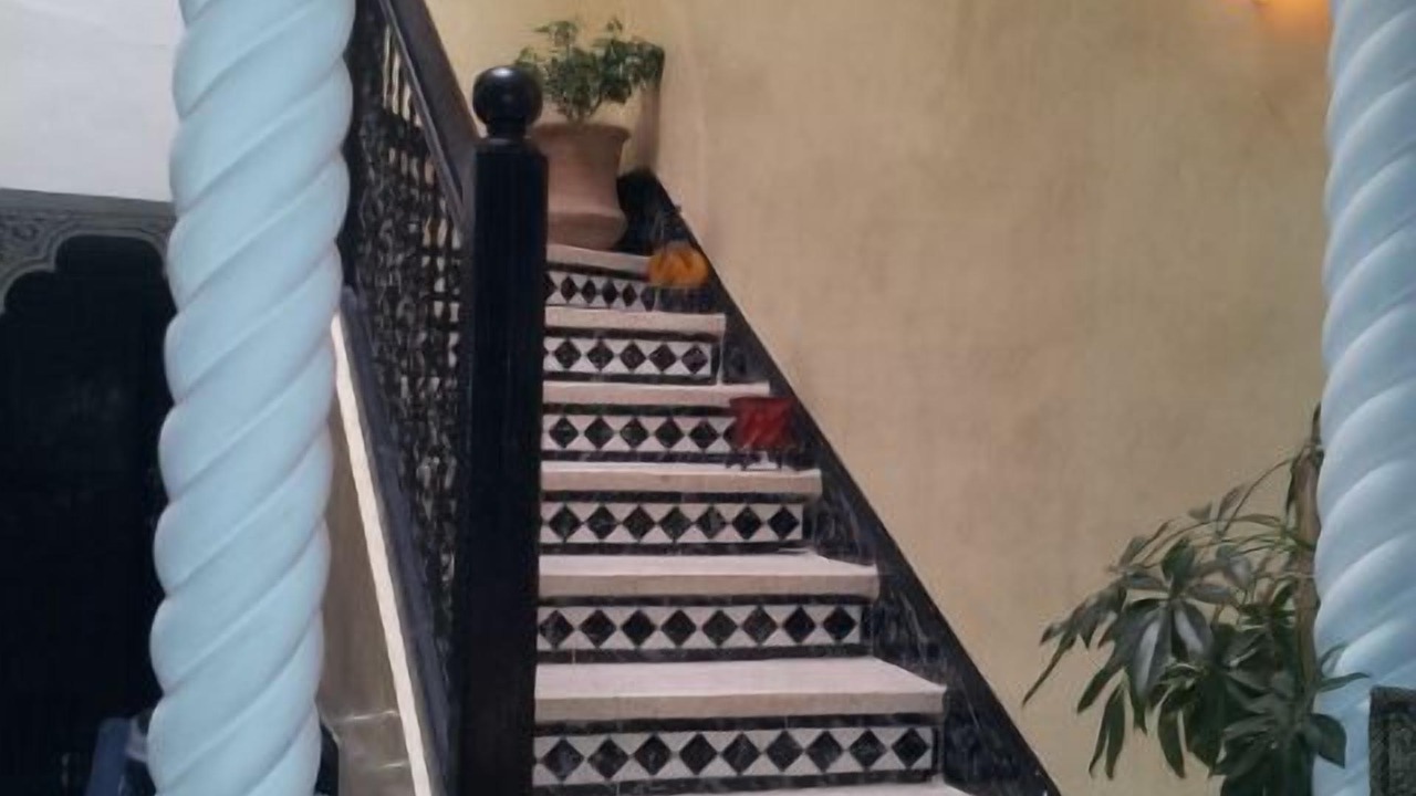 Photo of Others in Marrakech