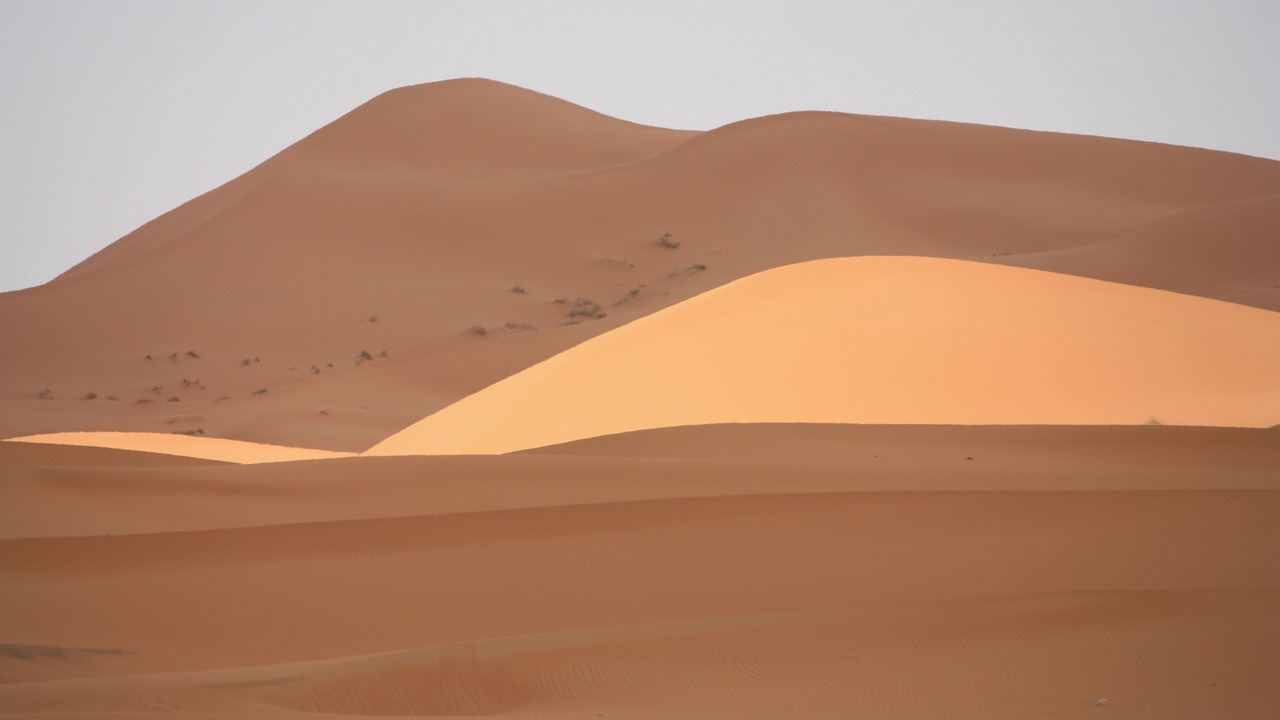 Photo of Others in Taouz