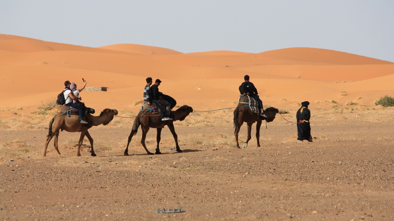 Photo of Others in Taouz