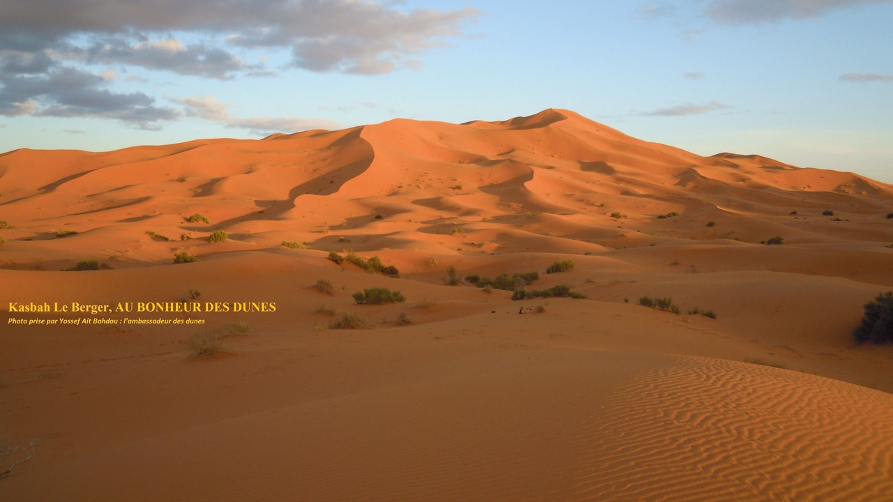 Photo of Others in Taouz