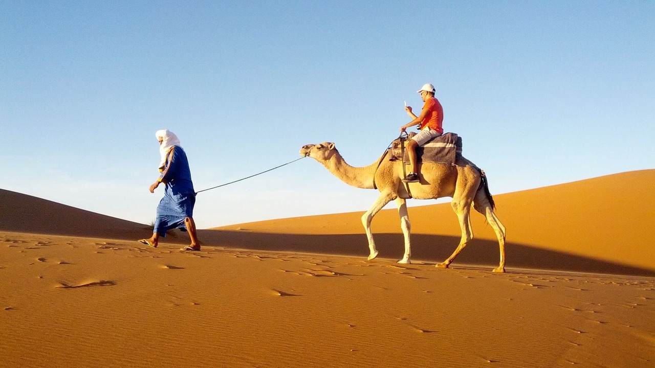 Photo of Others in Taouz