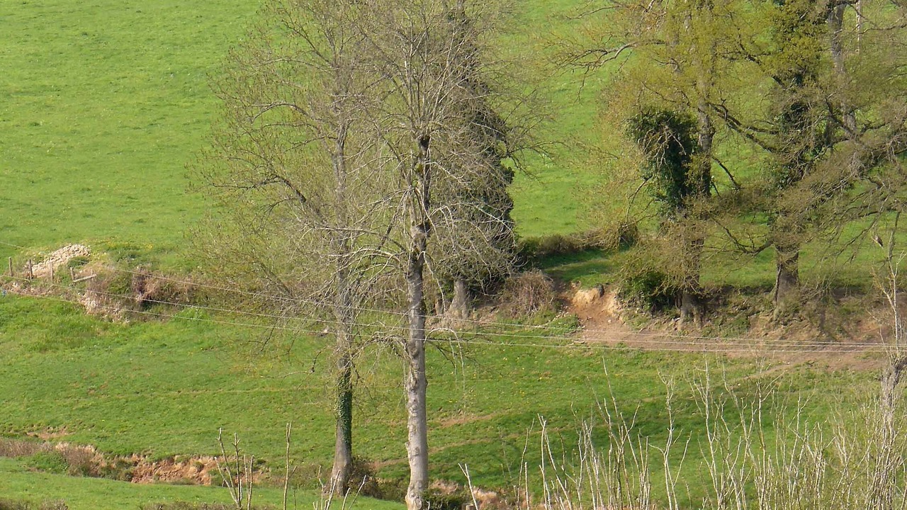 Photo of Others in Buffieres