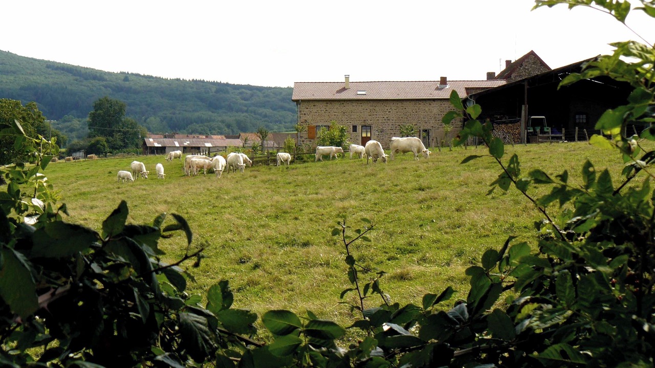 Photo of Outdoor in Buffieres
