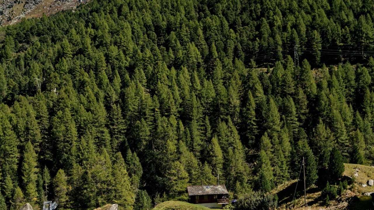 Photo of Outdoor in Arolla
