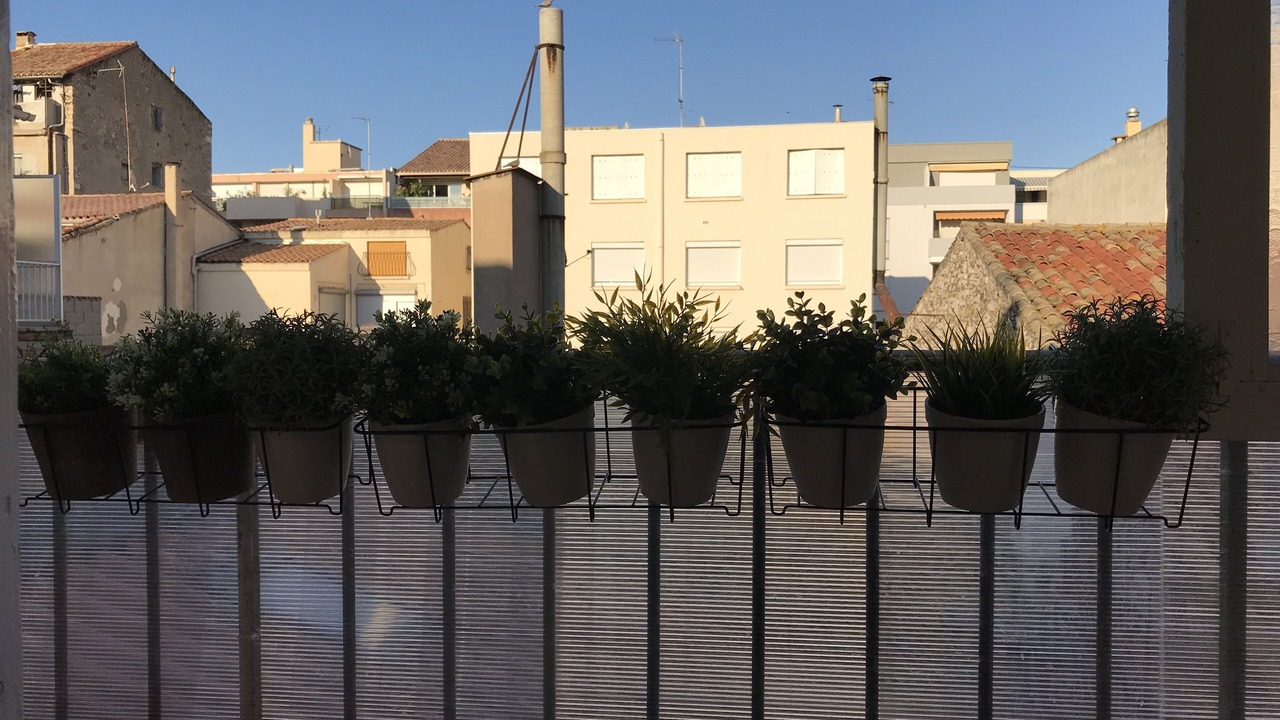 Photo of Others in Sete