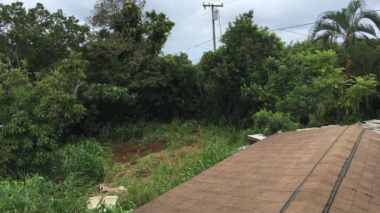 Photo of Outdoor in Pupukea