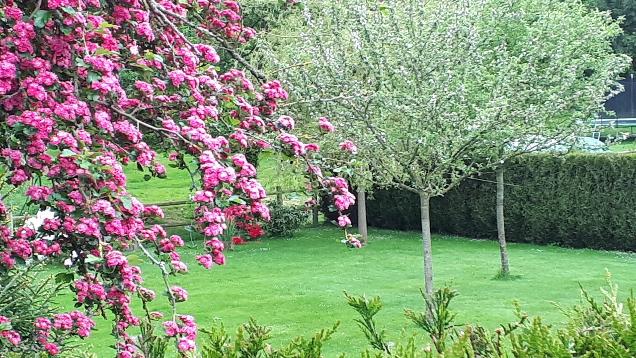 Photo of Outdoor in Guilberville