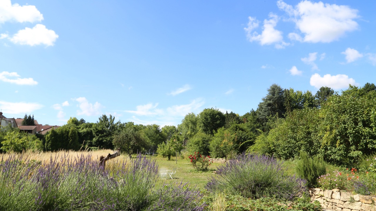 Photo of Outdoor in Mainz
