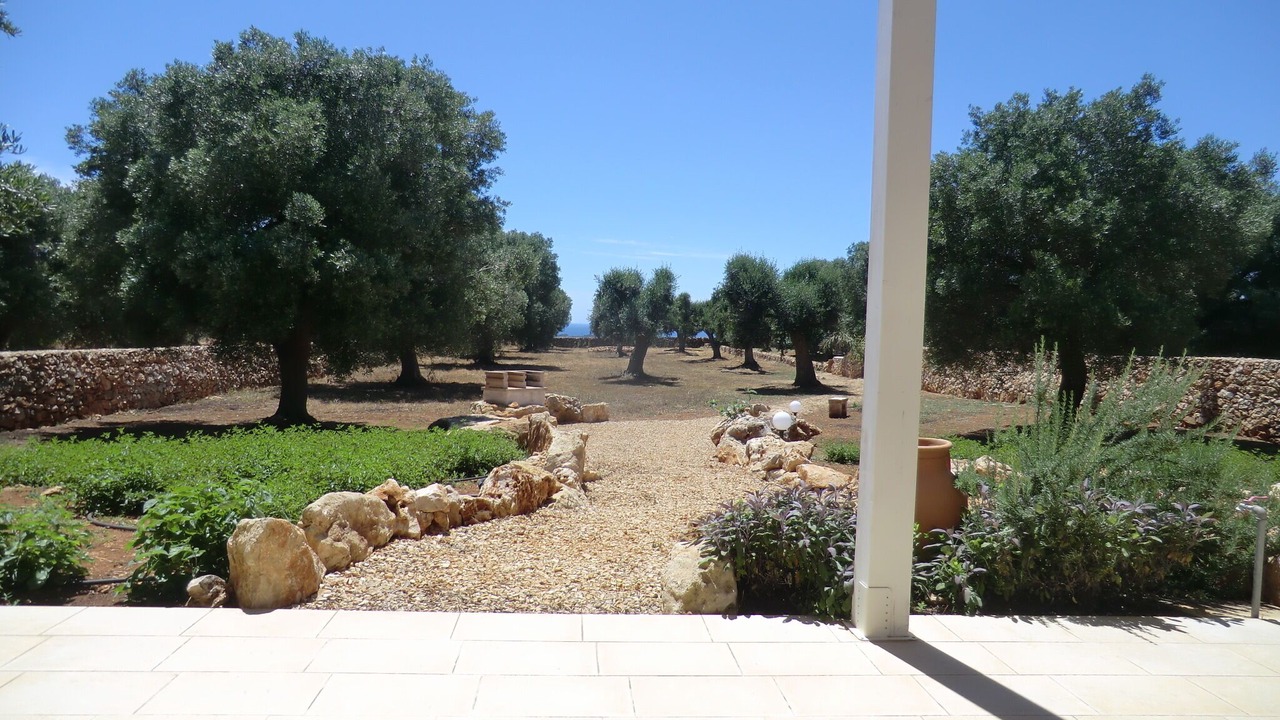 Photo of Outdoor in Manduria