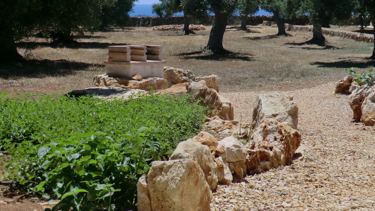 Photo of Outdoor in Manduria
