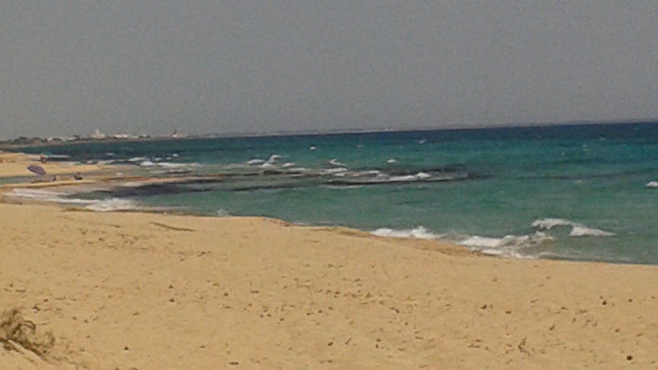 Photo of Others in Manduria