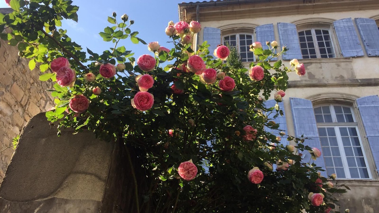 Photo of Outdoor in Tarascon