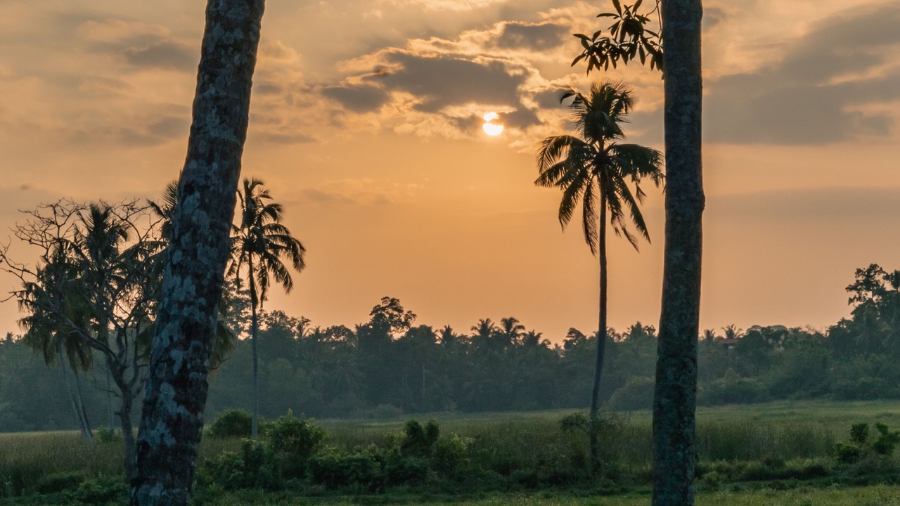 Photo of Outdoor in Unawatuna