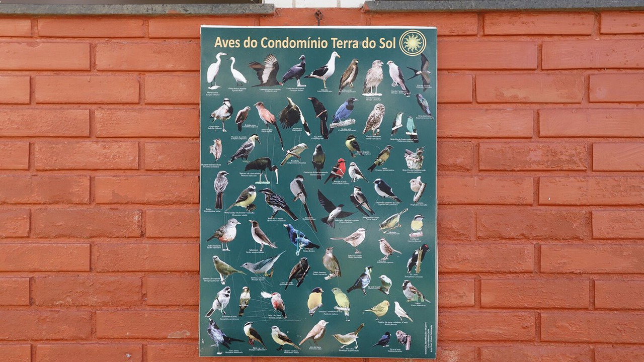 Photo of Outdoor in Ingleses Norte