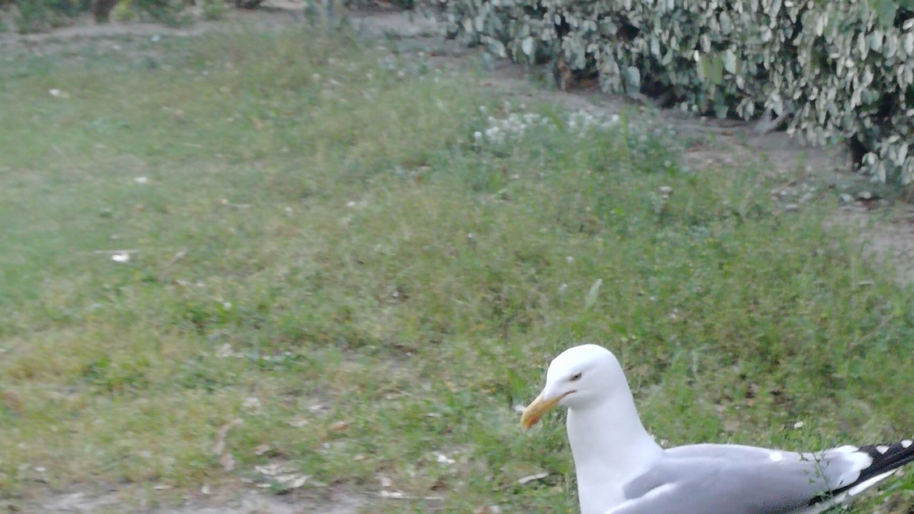 Photo of Outdoor in Le Barcares