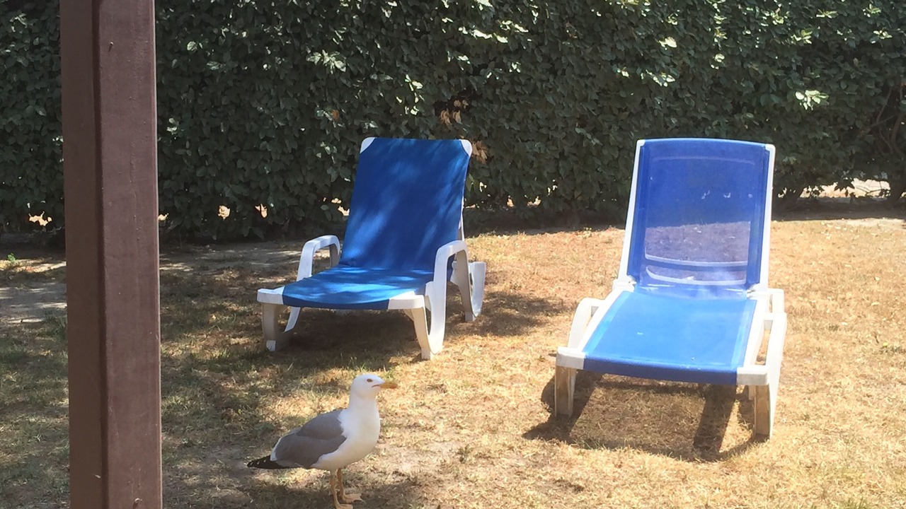 Photo of Outdoor in Le Barcares