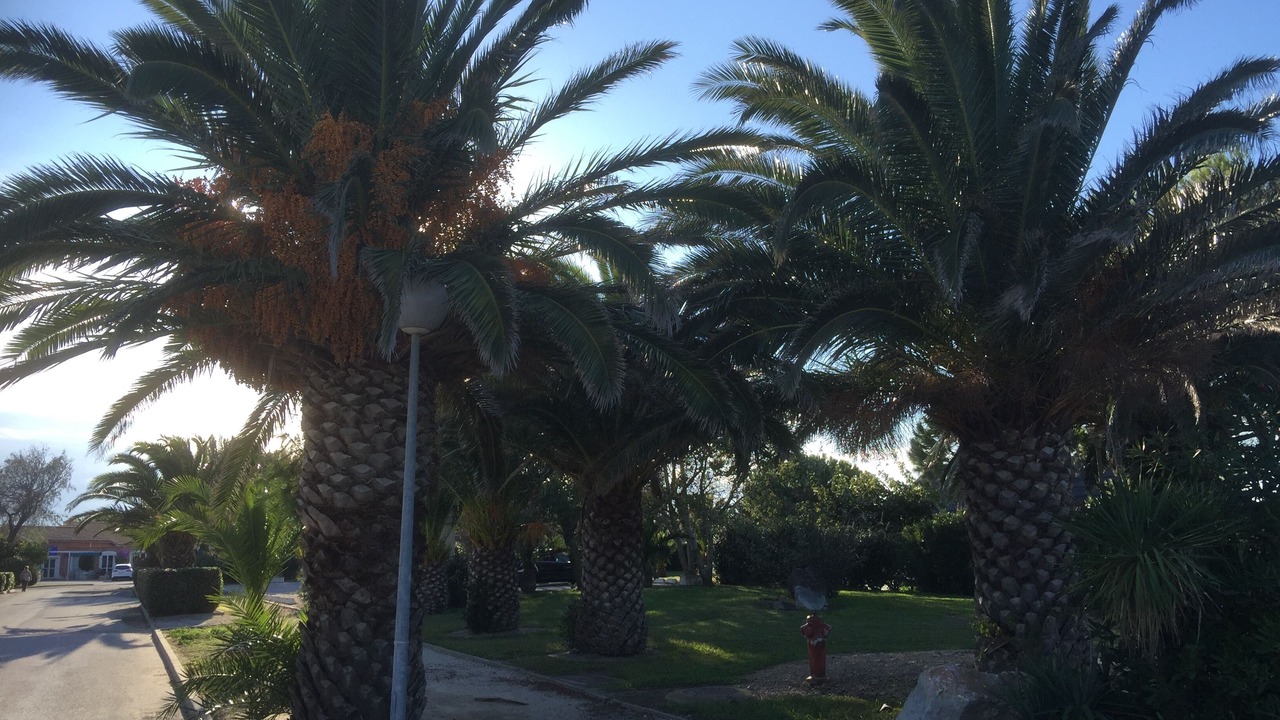 Photo of Outdoor in Le Barcares