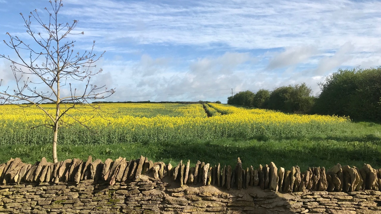 Photo of Outdoor in Carterton