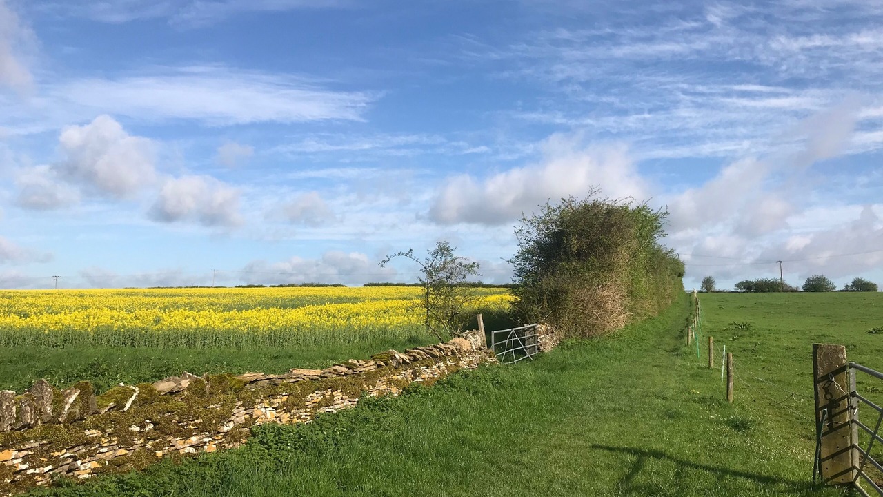 Photo of Outdoor in Carterton