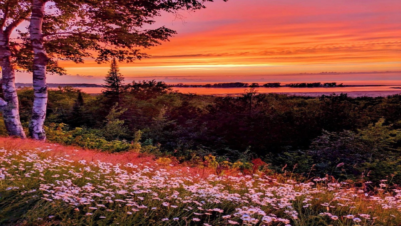 Photo of Outdoor in Grand Marais