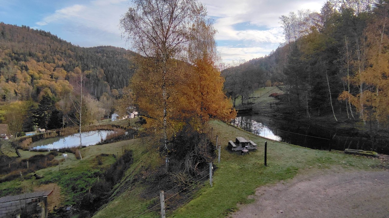 Photo of Others in Dommartin-les-Remiremont
