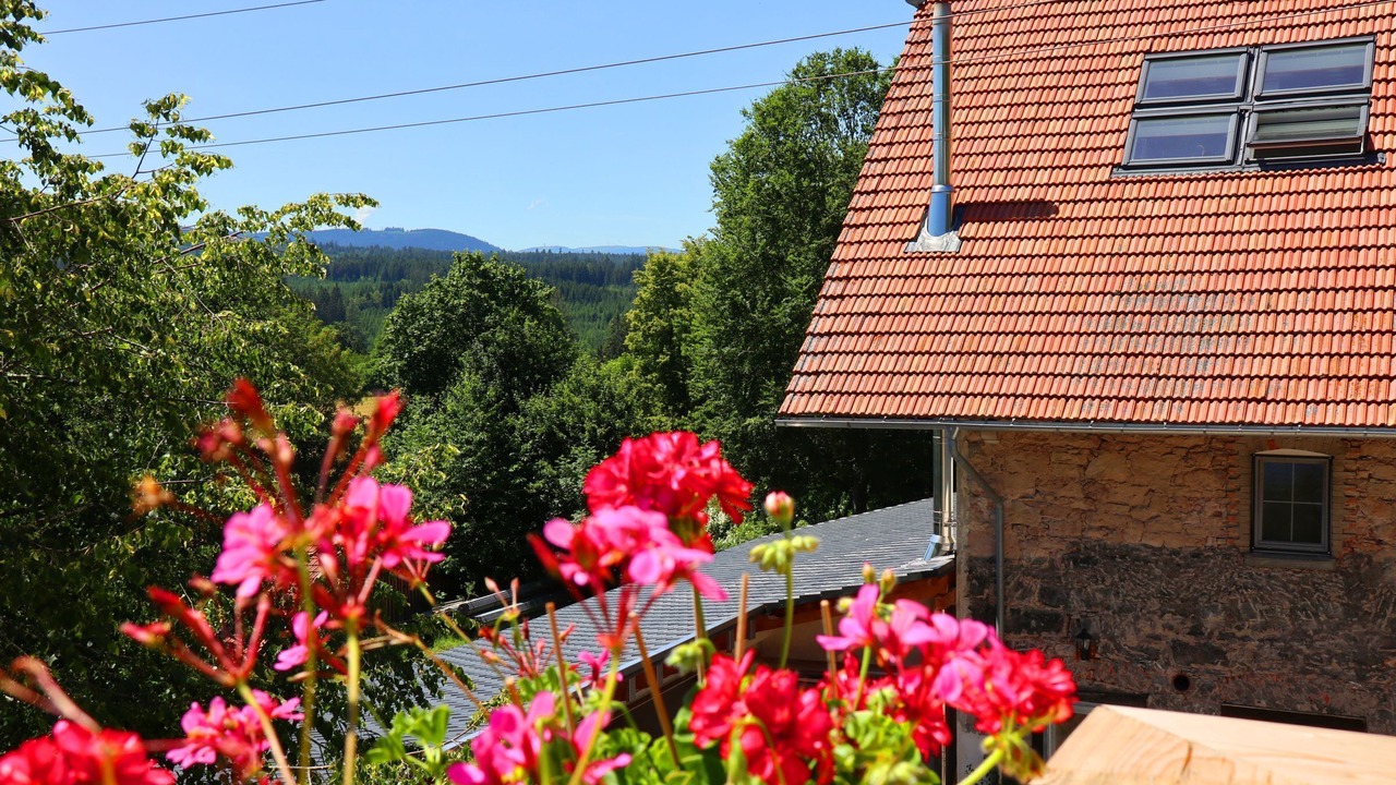 Photo of Outdoor in Loffingen