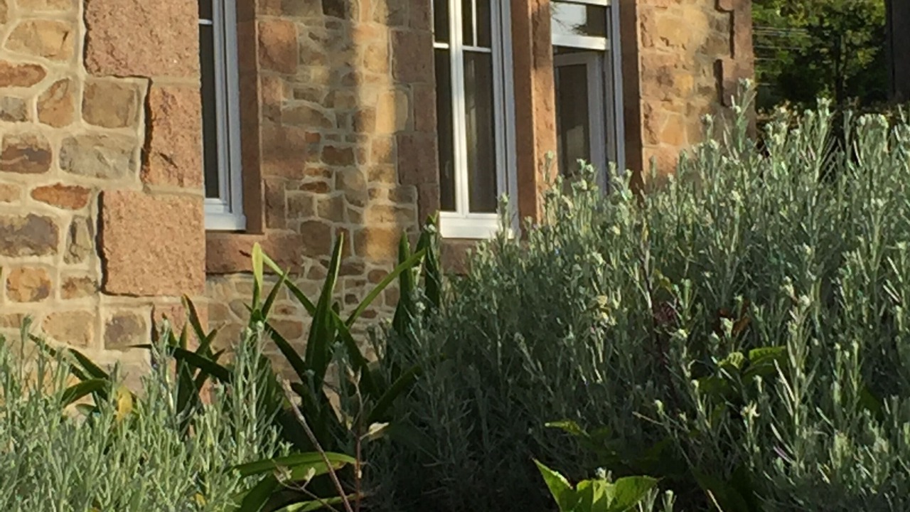 Photo of Outdoor in Perros-Guirec