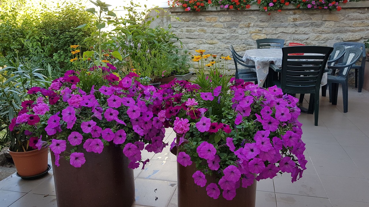 Photo of Outdoor in Schalbach
