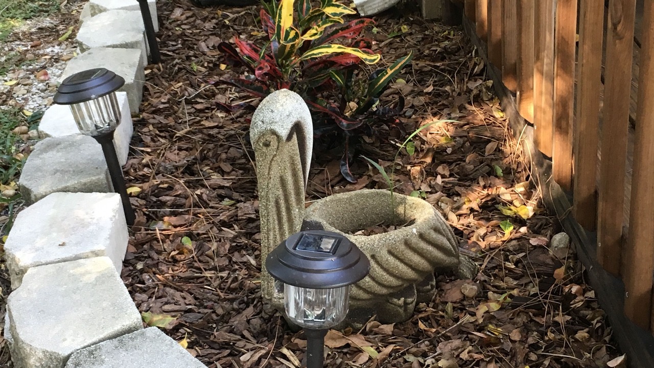 Photo of Outdoor in Gulf Gate Estates