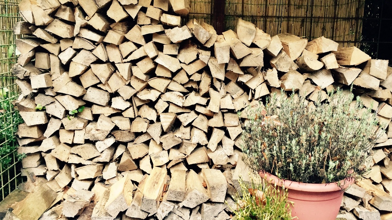 Photo of Outdoor in Otterlo