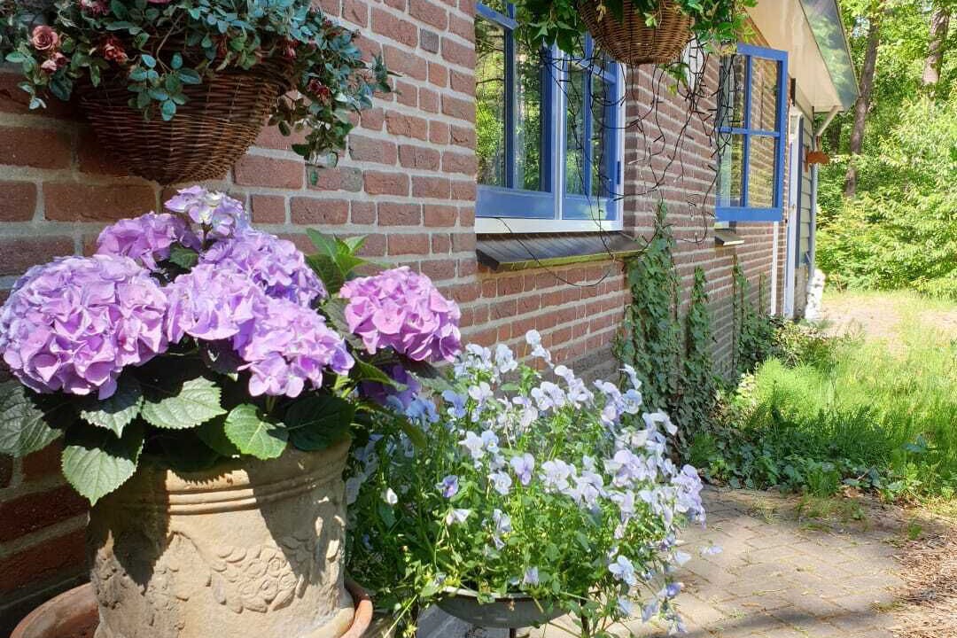 Photo of Outdoor in Otterlo