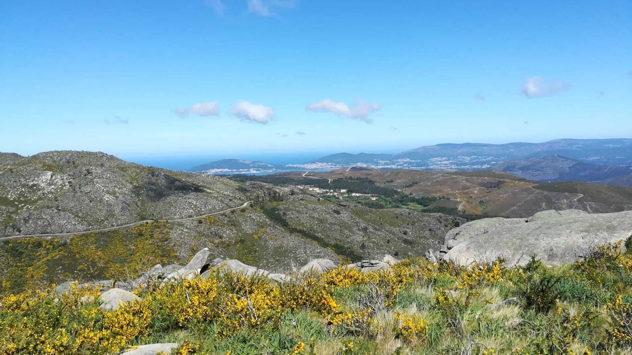 Photo of Others in Covas