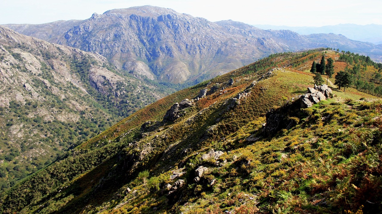 Photo of Outdoor in Covas