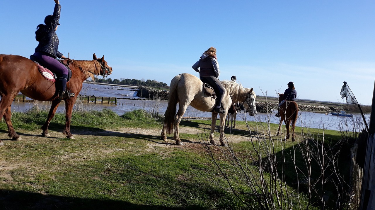 Photo of Others in Saint-Vivien-de-Medoc