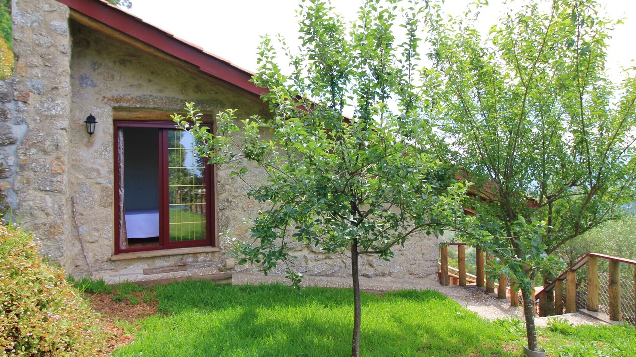 Photo of Outdoor in Bico