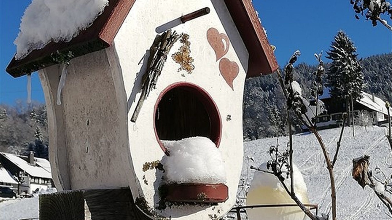 Photo of Outdoor in Nordrach