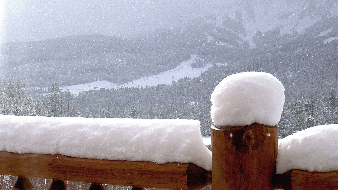 Photo of Others in Bozeman