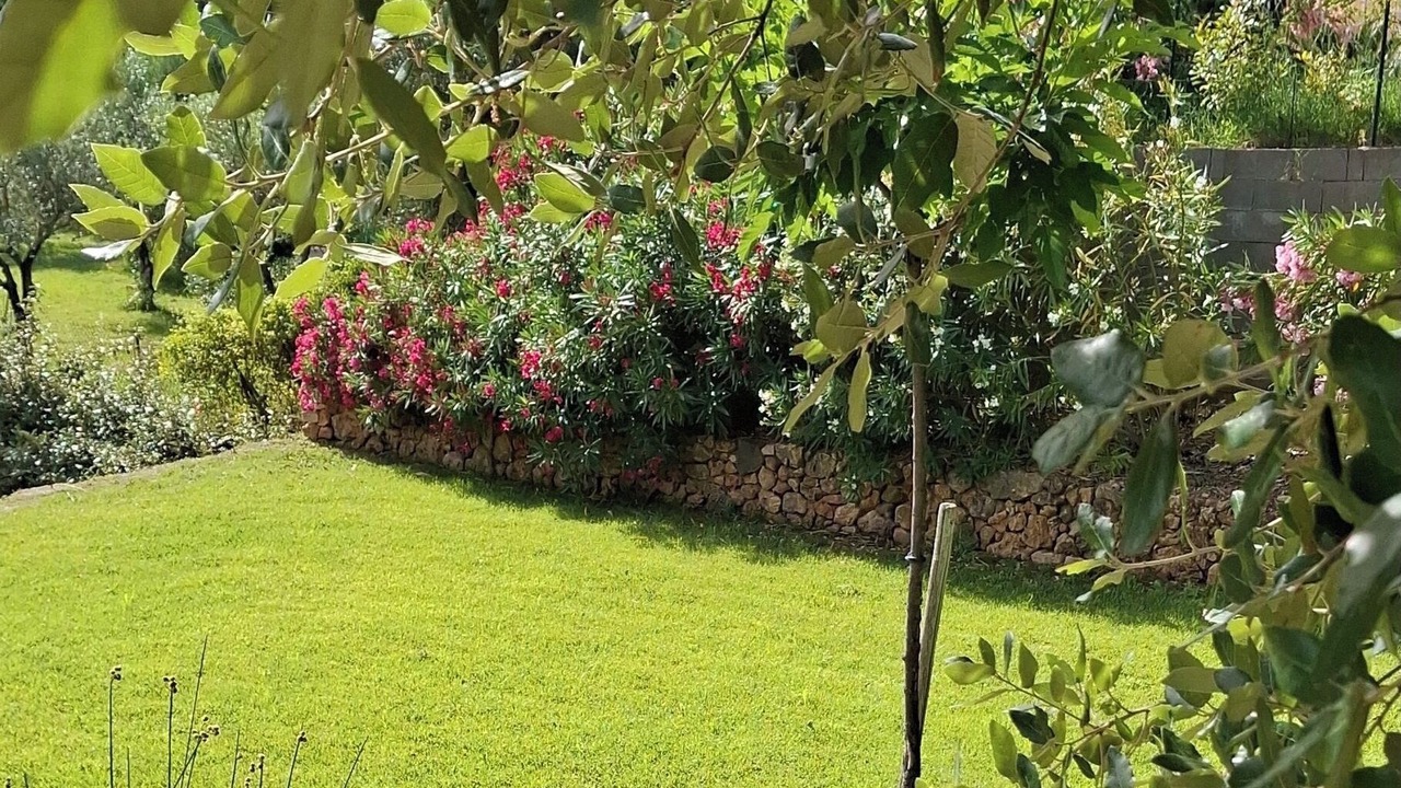 Photo of Outdoor in Flayosc