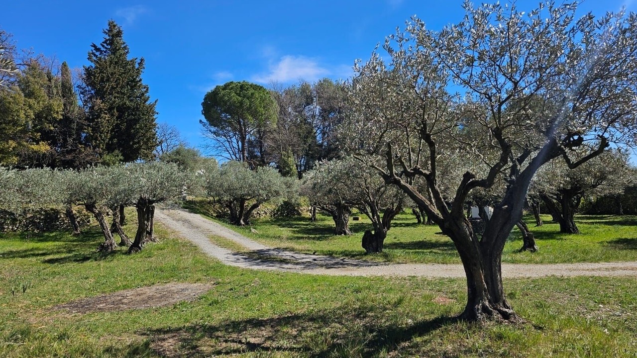 Photo of Outdoor in Flayosc