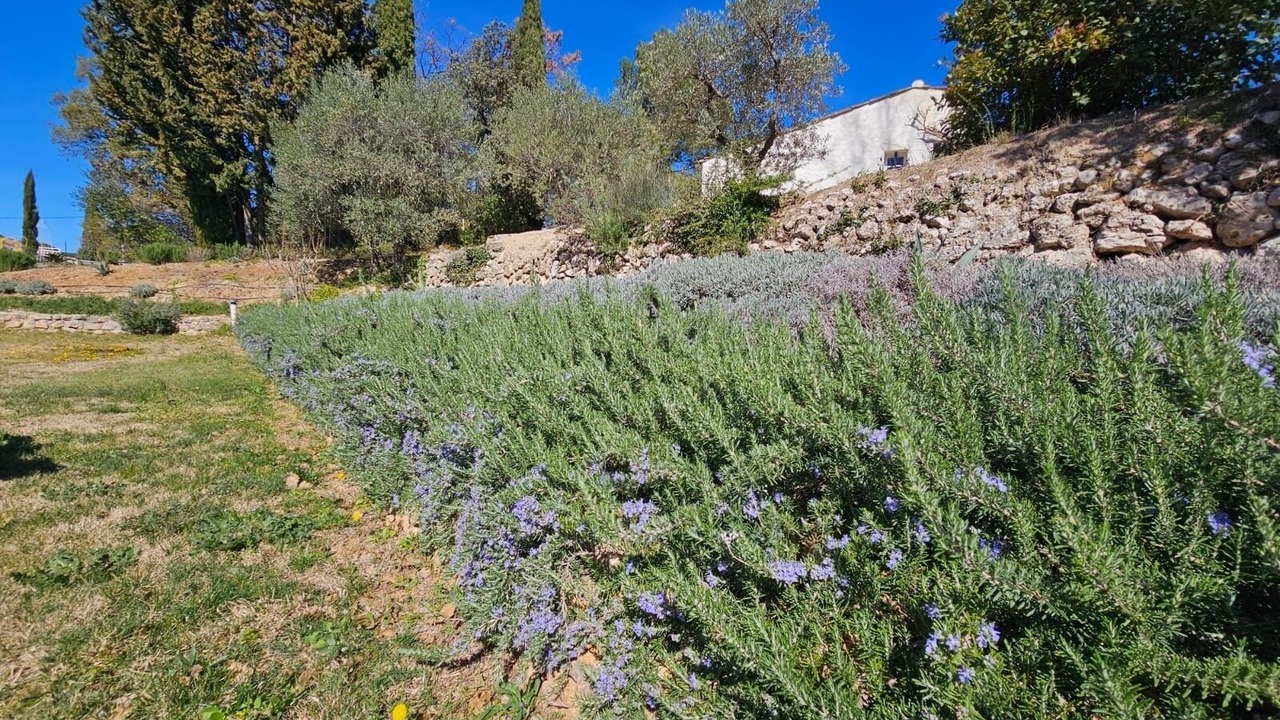 Photo of Outdoor in Flayosc