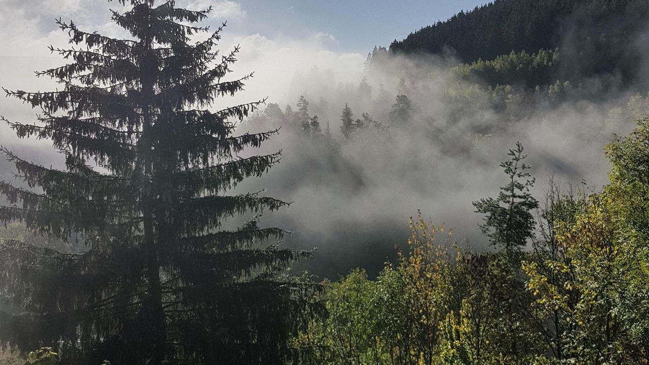 Photo of Outdoor in Unterweißbach