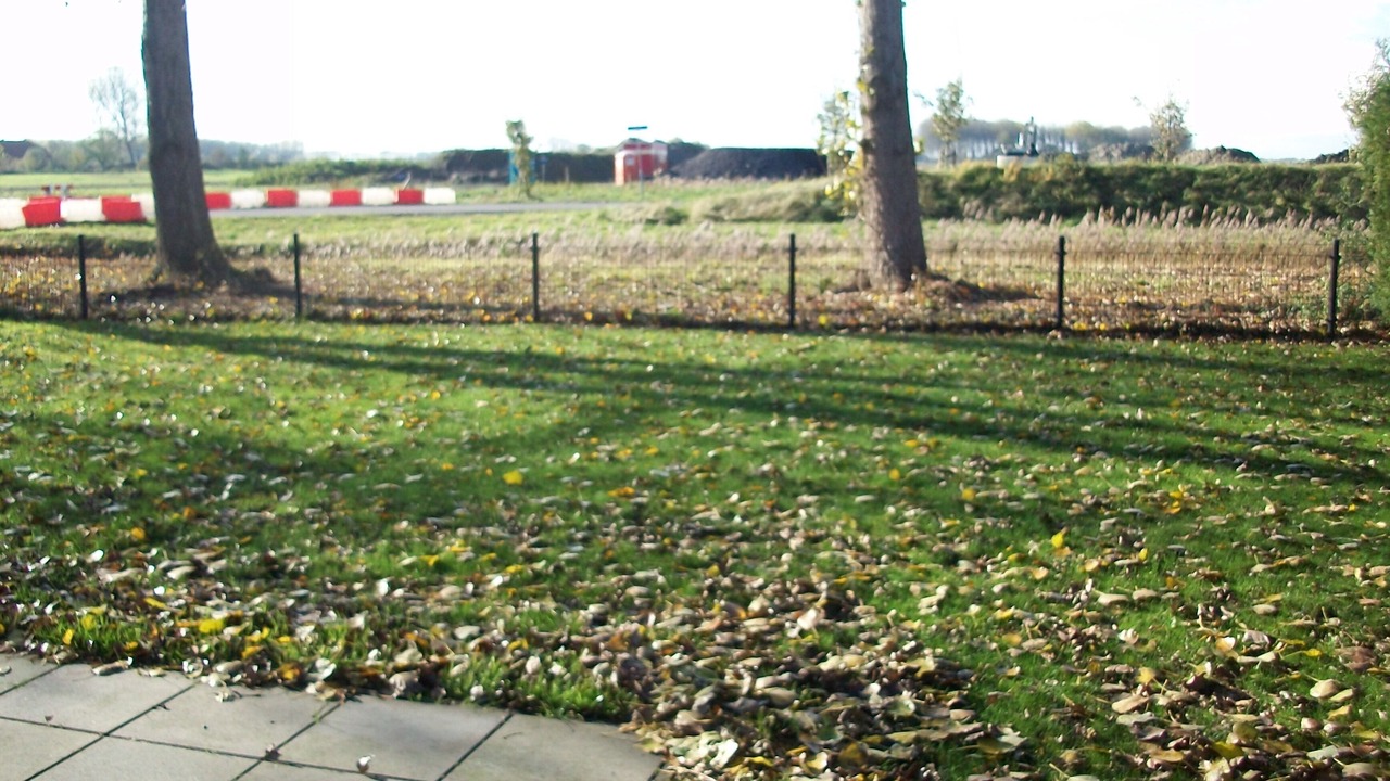 Photo of Outdoor in Breskens