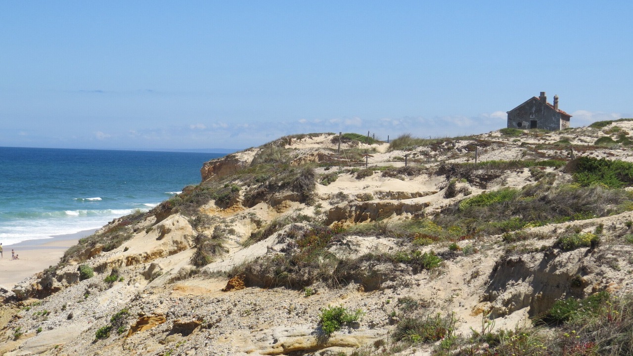 Photo of Others in Praia del Rei